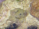 DSC04336.JPG