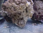 DSC04380.JPG