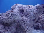 DSC04313.JPG