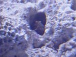 DSC04315.JPG