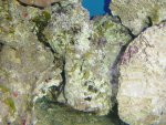 DSC04325.JPG