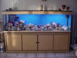 DSC04424.JPG