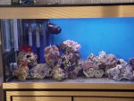 DSC04425.JPG