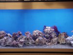 DSC04426.JPG