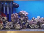 DSC04427.JPG