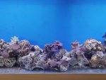 DSC04428.JPG