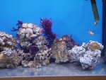 DSC04429.JPG