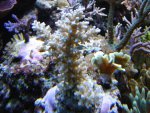 DSC01404.JPG
