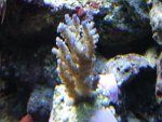 DSC01405.JPG