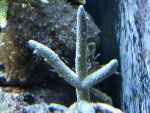 DSC01407.JPG