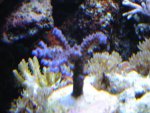 DSC01390.JPG