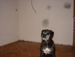 DSC00080.JPG