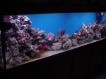 DSC04513.JPG