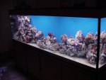DSC04512.JPG
