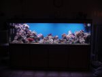 DSC04494.JPG