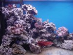 DSC04477.JPG