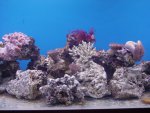 DSC04473.JPG