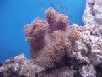 DSC04480.JPG