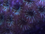 1589927654555.png 1589927654555.png