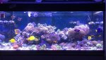A82A3E88-639F-47BC-BEDB-74DDA62AD093.jpeg