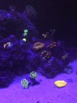 F5ED20E8-3D77-47FD-B022-C0FFDB588506.jpeg