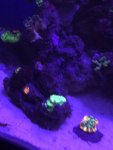 3223E2D5-F253-45A7-AAD6-EEBC660D7E7B.jpeg