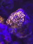 6E2EDCEB-8D22-4913-A1F6-27C289696A73.jpeg