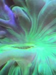 78833470-DE72-465B-A7FF-44867674C4BC.jpeg