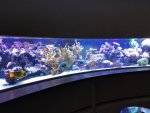 D80D87E0-F3DD-4132-9704-2C481CC364BF.jpeg