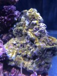 IMG_6289.jpg IMG_6289.jpg