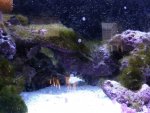 IMG_20200902_190203.jpg