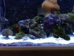 IMG_20200902_190223.jpg