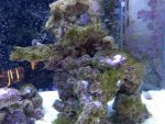 IMG_20200902_190240.jpg