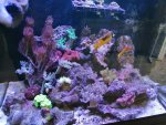 IMG_20200706_165511.jpg