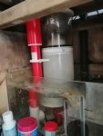 IMG_20200907_084129.jpg