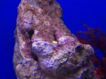 zeeaquarium 023 (Medium).jpg