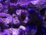 zeeaquarium 055 (Medium).jpg