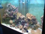 aquarium.JPG