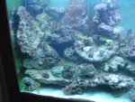 aquarium (1).JPG