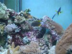 aquarium (2).JPG