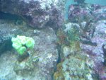 DSC00998.JPG
