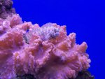 zeeaquarium 066 (Medium).jpg