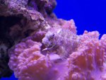zeeaquarium 067 (Medium).jpg