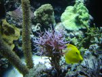 DSC01449.JPG