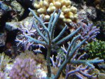 DSC01457.JPG