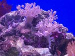 zeeaquarium 089 (Medium).jpg