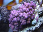 zeeaquaria 360.jpg