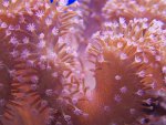 zeeaquarium 097 (Medium).jpg