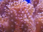 zeeaquarium 098 (Medium).jpg