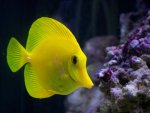 zeeaquarium 094 (Medium).jpg
